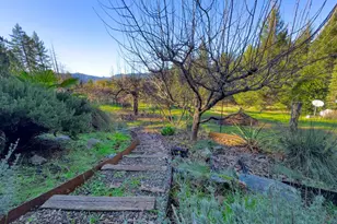 14475 Poonkinney Rd, Dos Rios, CA 95429 - Photo 9