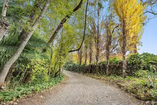 101 Laurel Grove Ave, Kentfield, CA 94904 - Photo 55