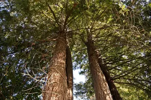 57 W Napa Dr, Petaluma, CA 94954 - Photo 45