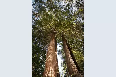 57 W Napa Drive, Petaluma, CA 94954 - Photo 47