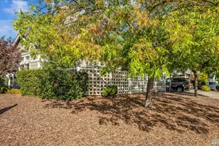 921 Chiles Ave, Saint Helena, CA 94574 - Photo 19