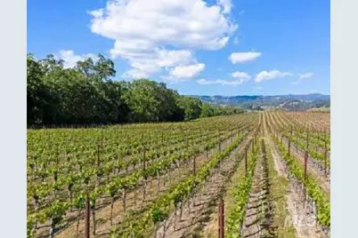 5566 Highway 128, Geyserville, CA 95441 - Photo 35