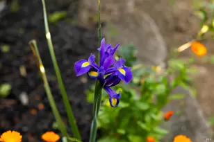 340 Kendrick Ln, Vacaville, CA 95687 - Photo 47