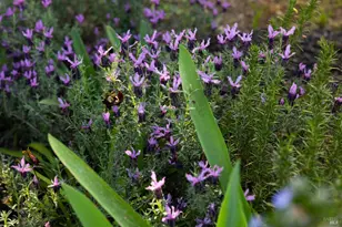 340 Kendrick Ln, Vacaville, CA 95687 - Photo 45