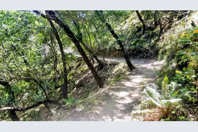 136 Peacock Drive, San Rafael, CA 94901 - Photo 45