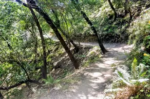 136 Peacock Dr, San Rafael, CA 94901 - Photo 45