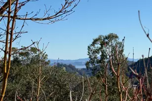 412 Scenic Rd, Fairfax, CA 94930 - Photo 19