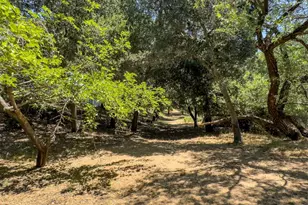 49 Ramon St, Sonoma, CA 95476 - Photo 39