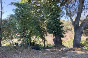 49 Ramon St, Sonoma, CA 95476 - Photo 31