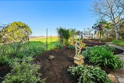 10360 Barnett Valley Road, Sebastopol, CA 95472 - Photo 49