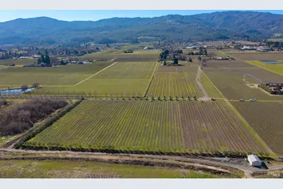 218 Zinfandel Lane, Saint Helena, CA 94574 - Photo 9