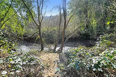 16750 Armstrong Woods Road, Guerneville, CA 95446 - Photo 35