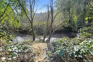 16750 Armstrong Woods Rd, Guerneville, CA 95446 - Photo 35