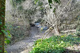 16750 Armstrong Woods Rd, Guerneville, CA 95446 - Photo 23