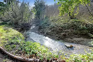 16750 Armstrong Woods Rd, Guerneville, CA 95446 - Photo 19