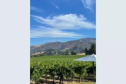 6476 Red Winery Road, Geyserville, CA 95441 - Photo 45