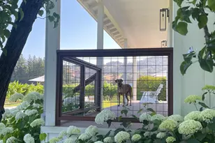 6476 Red Winery Rd, Geyserville, CA 95441 - Photo 41