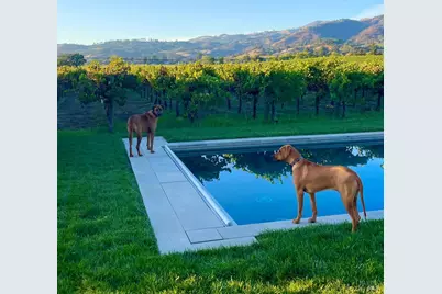 6476 Red Winery Road, Geyserville, CA 95441 - Photo 49