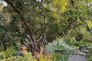 32 Grand View Ave, Camp Meeker, CA 95419 - Photo 47