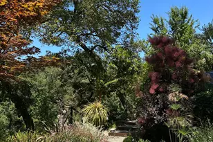 32 Grand View Ave, Camp Meeker, CA 95419 - Photo 49