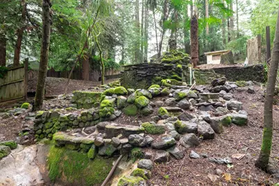 17340 Park Avenue, Guerneville, CA 95446 - Photo 7