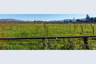 1135 Rutherford Road, Rutherford, CA 94558 - Photo 27