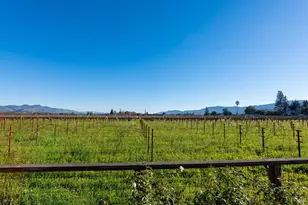 1135 Rutherford Rd, Rutherford, CA 94558 - Photo 27