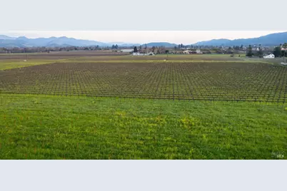 1135 Rutherford Road, Rutherford, CA 94558 - Photo 57