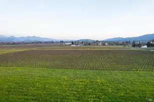 1135 Rutherford Rd, Rutherford, CA 94558 - Photo 57