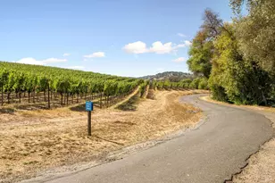 5200 Sonoma Hwy, Napa, CA 94559 - Photo 43