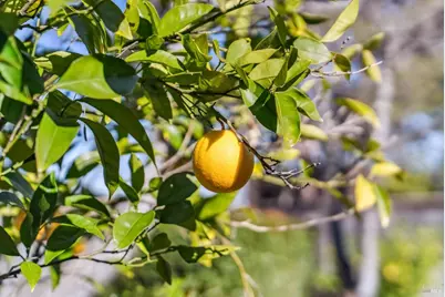 14 Jefferson Court, Novato, CA 94947 - Photo 47