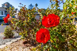 2555 Flosden Rd, American Canyon, CA 94503 - Photo 9