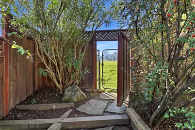 20 Plaza Demira, Novato, CA 94947 - Photo 43