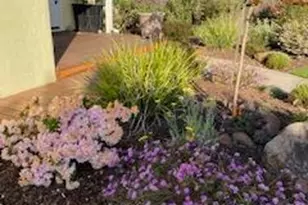 20 Plaza Demira, Novato, CA 94947 - Photo 67