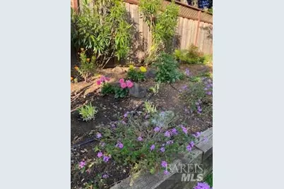 20 Plaza Demira, Novato, CA 94947 - Photo 65