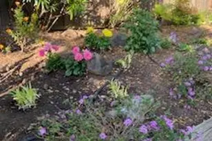 20 Plaza Demira, Novato, CA 94947 - Photo 65