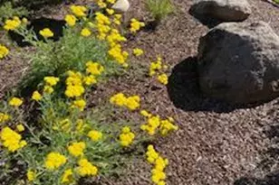 20 Plaza Demira, Novato, CA 94947 - Photo 69