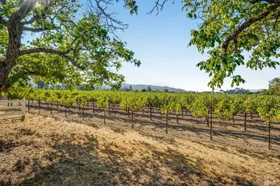 1234 Davis Lane, Saint Helena, CA 94574 - Photo 21