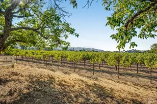 1234 Davis Ln, Saint Helena, CA 94574 - Photo 21