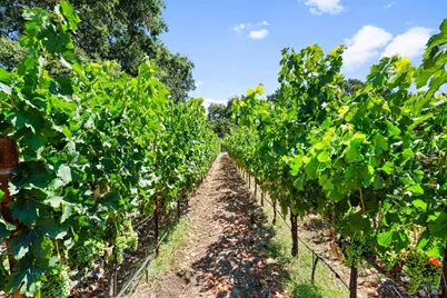 3140 Big Ranch Road, Napa, CA 94558 - Photo 47