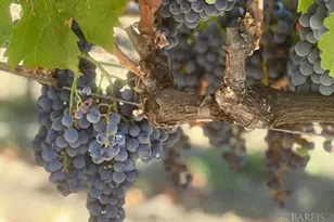 3140 Big Ranch Rd, Napa, CA 94558 - Photo 59