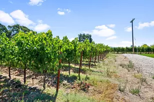 3140 Big Ranch Rd, Napa, CA 94558 - Photo 49