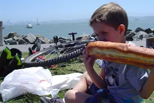 1880 Centro W St, Tiburon, CA 94920 - Photo 79