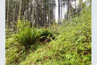 46700 Highway 101, Laytonville, CA 95454 - Photo 3