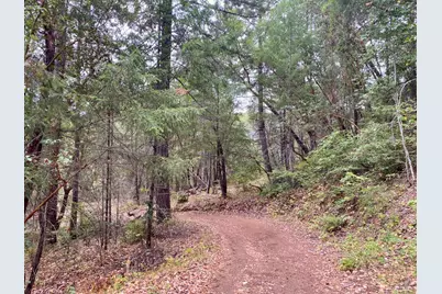 46700 Highway 101, Laytonville, CA 95454 - Photo 15