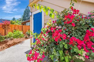 105 Bayview St, San Rafael, CA 94901 - Photo 27
