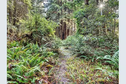 19400 Dorffi Road, Fort Bragg, CA 95437 - Photo 19