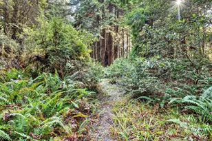 19400 Dorffi Rd, Fort Bragg, CA 95437 - Photo 19