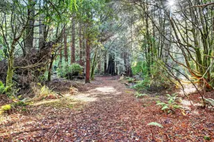 19400 Dorffi Rd, Fort Bragg, CA 95437 - Photo 43