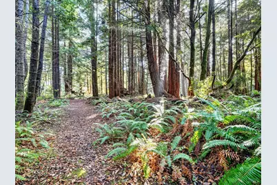 19400 Dorffi Road, Fort Bragg, CA 95437 - Photo 41